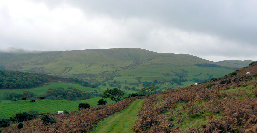 Broom Fell Broom Fell